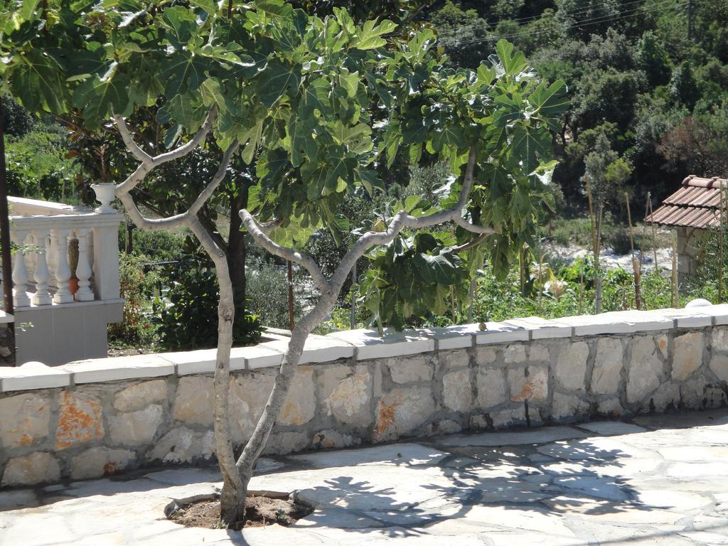 Villa Marica Neum Εξωτερικό φωτογραφία